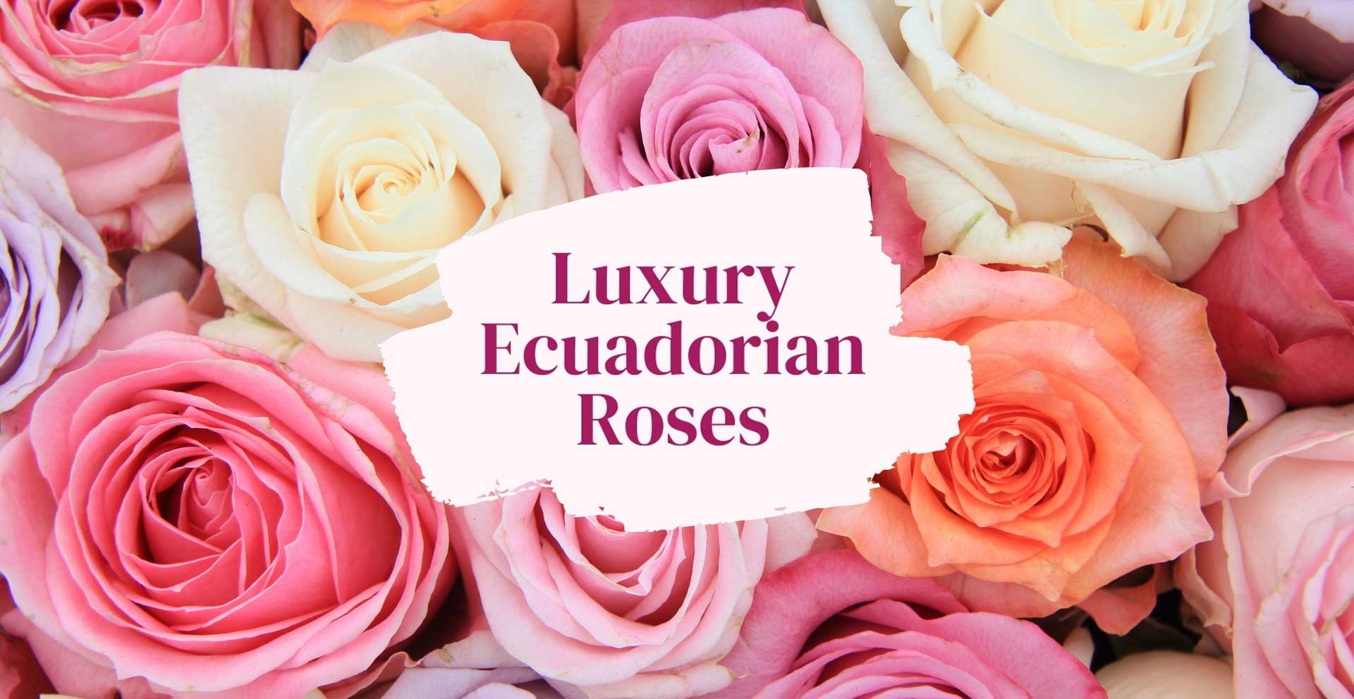 Same Day Online Flower Delivery Online Flower Shop Manila Philippines