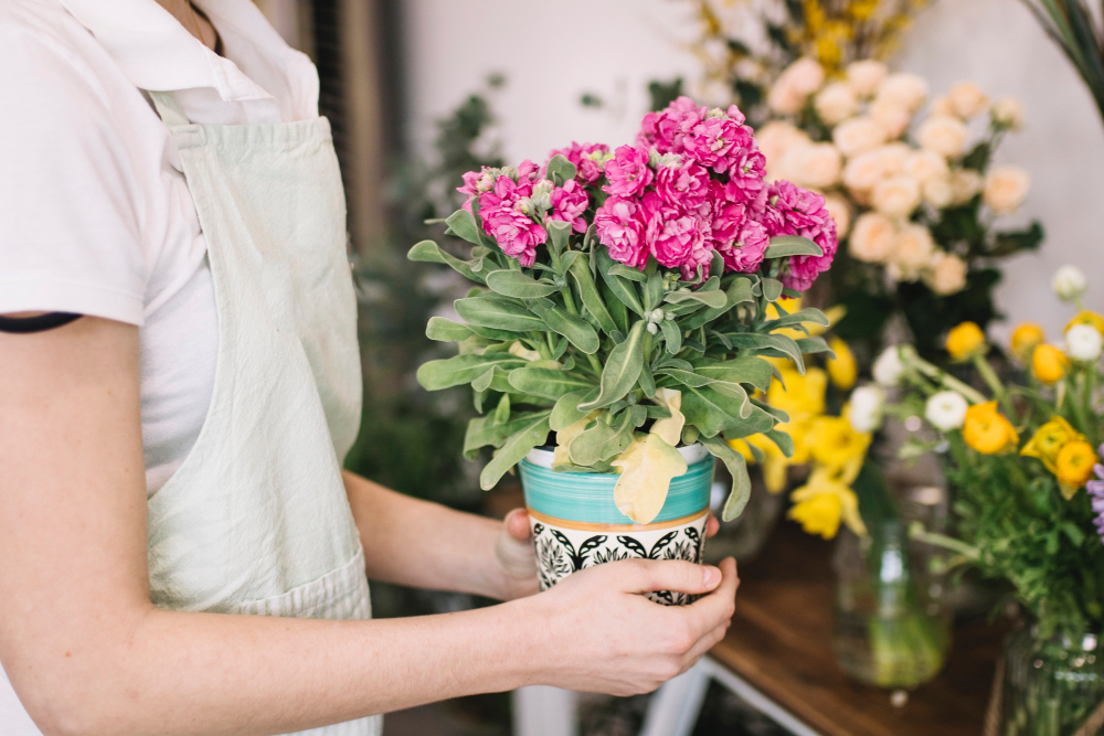 How to Care for Cut Flowers such as Tulips, Roses, Lilies, and more