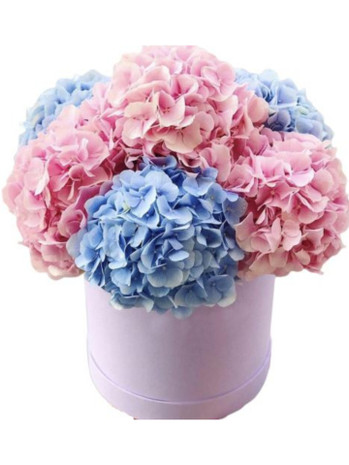 Hydrangeas Flower Box