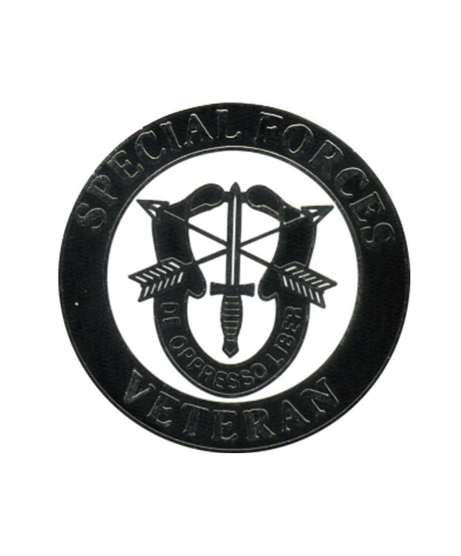 Special Forces Skull Lapel Pin