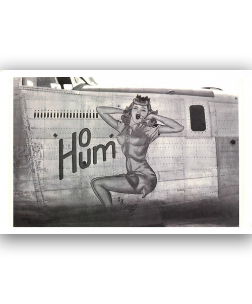 Nose Art, Ho Hum, Pin-up Postcard