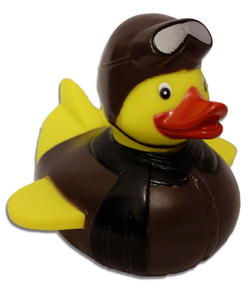 einstein rubber duck