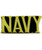 Navy Lapel Pin