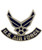 USAF Logo Rocker Lapel Pin