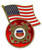 USCG Logo with US Flag Lapel Pin