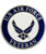 USAF Veteran Lapel Pin P16426