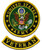Army Logo Veteran Patch