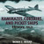 Kamikazes, Corsairs, and Picket Ships