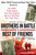 Brothers in Battle, Best of Friends PB Brothers in Battle, Best of Friends PB
