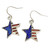 USA Star Painted Earrings