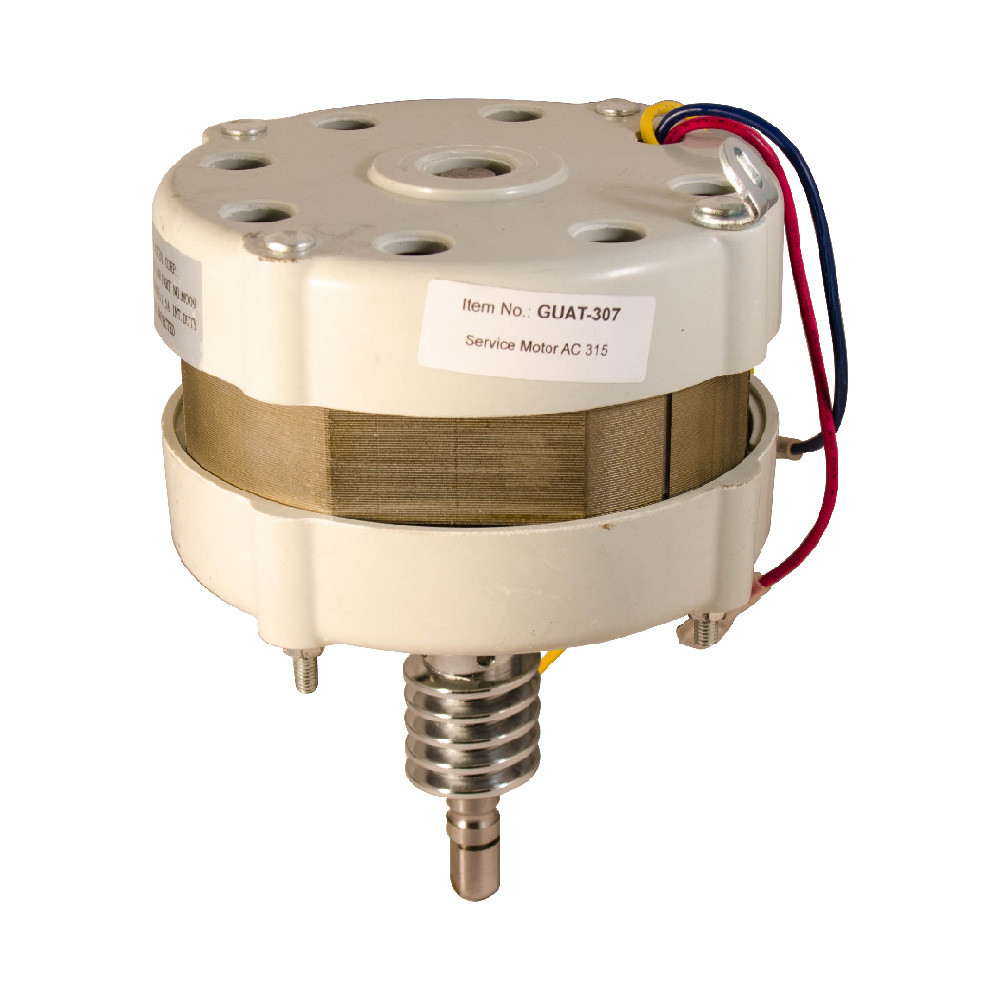 Guardian GUAT-307 Replacement motor with worm gear