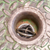 Action Industries Dock Leveler Brush Ring Seal