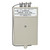 MCS109020-BACK.jpg