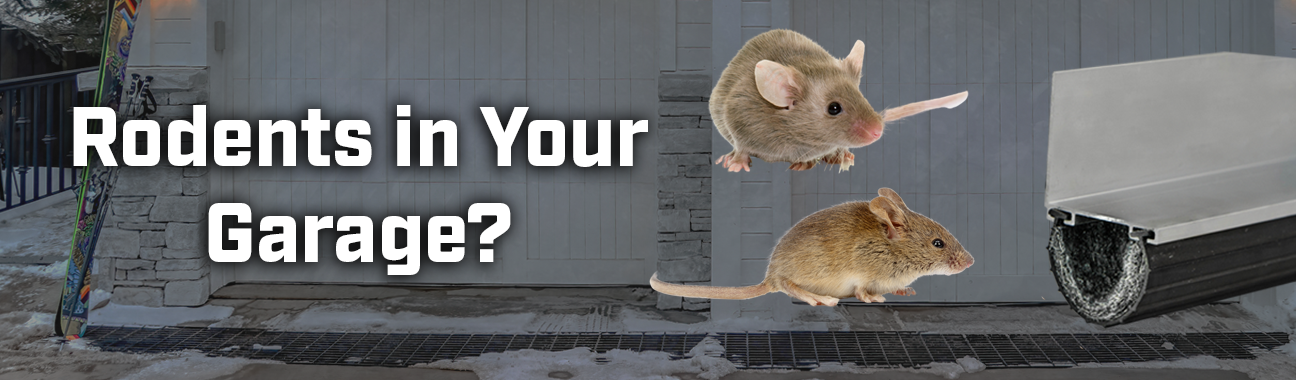 How to Remove Pests and Keep Them Out of Your Garage or Facility ...
