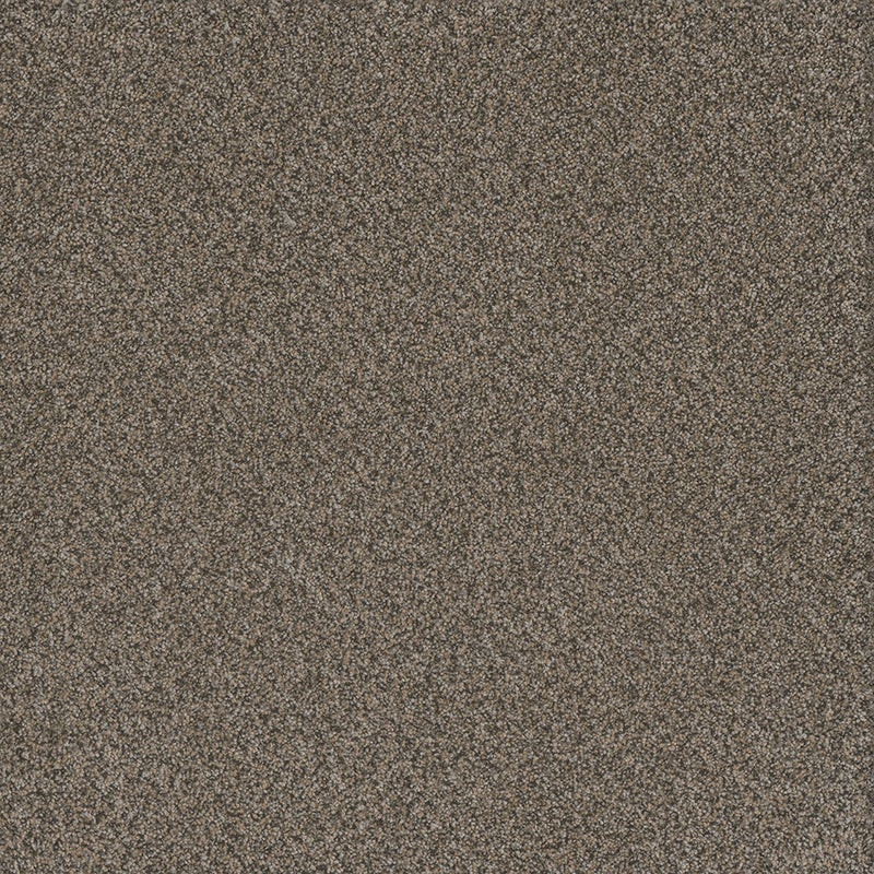 TAS Flooring North Cascades Collection: Sourdough Mountain 40 oz Solution Dyed Polyester 12' Wide Residential Broadloom Carpet