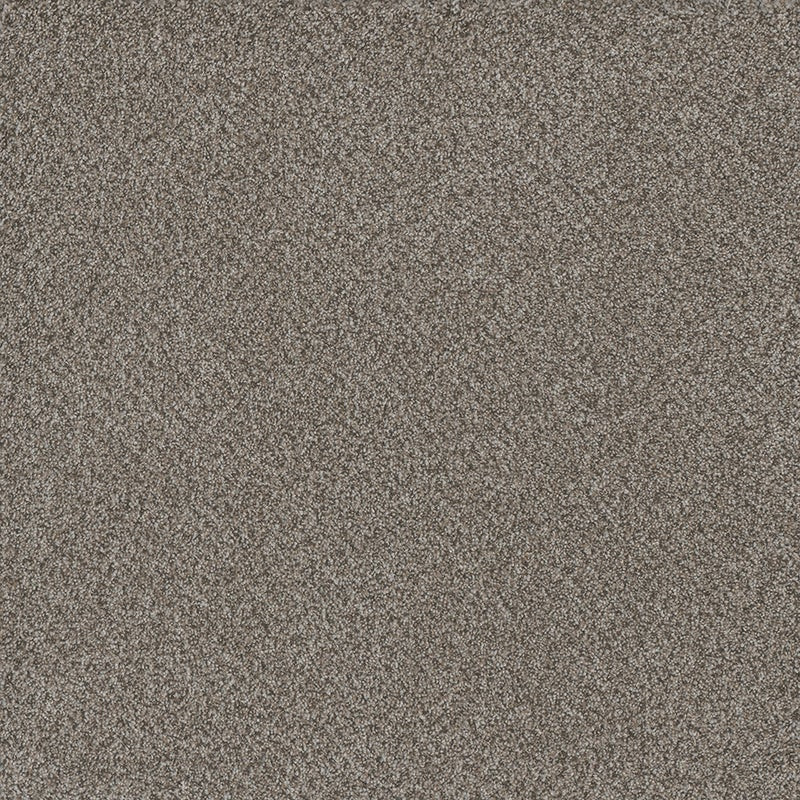 TAS Flooring North Cascades Collection: Cascade Pass 40 oz Solution Dyed Polyester 12' Wide Residential Broadloom Carpet