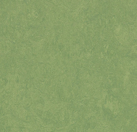 Marmoleum-- CinchLOC Leaf