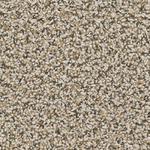 TAS Flooring Arches Collection: Broken Arch 24 oz Polyester 12' Wide Residential Broadloom Carpet