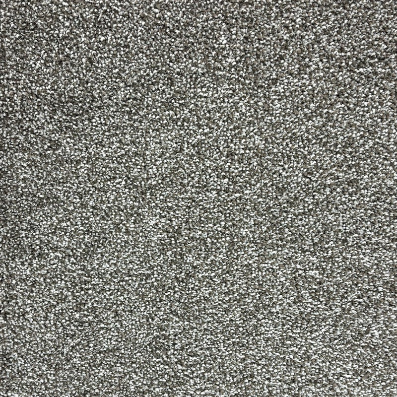 TAS Flooring Cashmere Collection: Koala 42 oz ColorLock  Polyester 12' Wide Residential Broadloom Carpet
