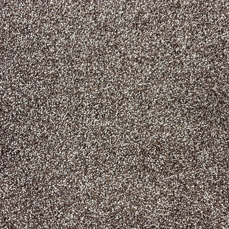 TAS Flooring Cashmere Collection: Grizzly 42 oz ColorLock Polyester 12' Wide Residential Broadloom Carpet