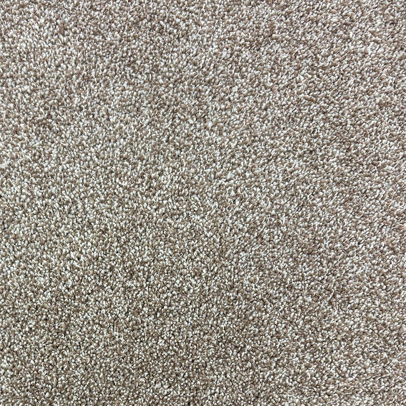 TAS Flooring Cashmere Collection: Angora 42 oz ColorLock  Polyester 12' Wide Residential Broadloom Carpet