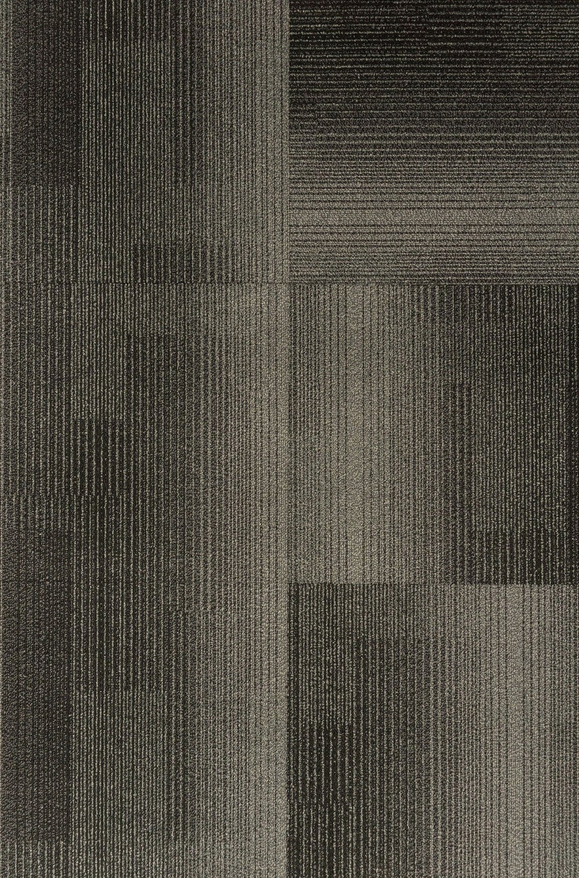 TAS Flooring Development Collection: Carbon 18 oz Polypropylene 19.7" x 19.7" Commercial Carpet Tile