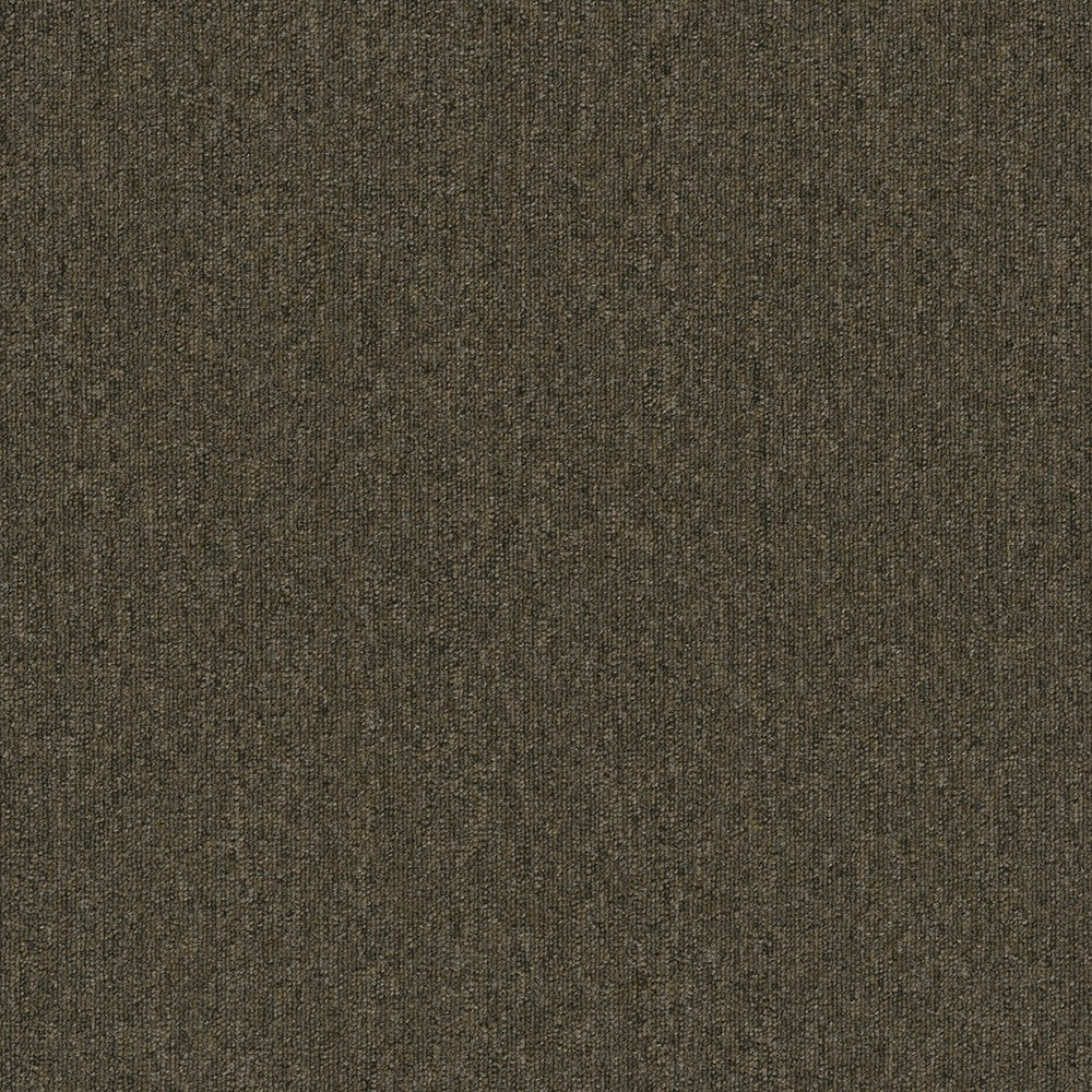 TAS Flooring Grand Canyon Collection: Colorado River 20 oz Solution Dyed Polyester 12' Wide Commercial Broadloom Carpet