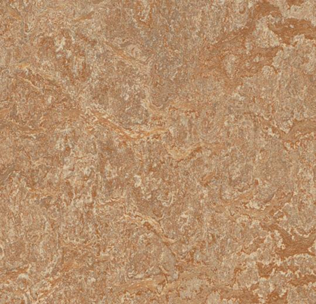 Marmoleum-- CinchLOC Shitake