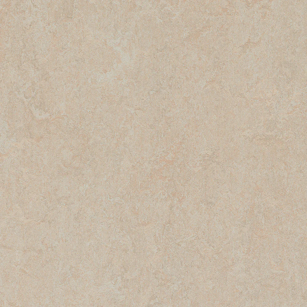 Marmoleum-- Fresco Silver Birch