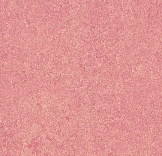 Marmoleum-- CinchLOC Honey Suckle