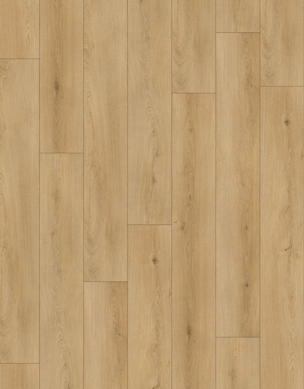 TAS Flooring Aristocrat 2 Collection: Medici 7.25" x 48" Luxury Vinyl Flooring
