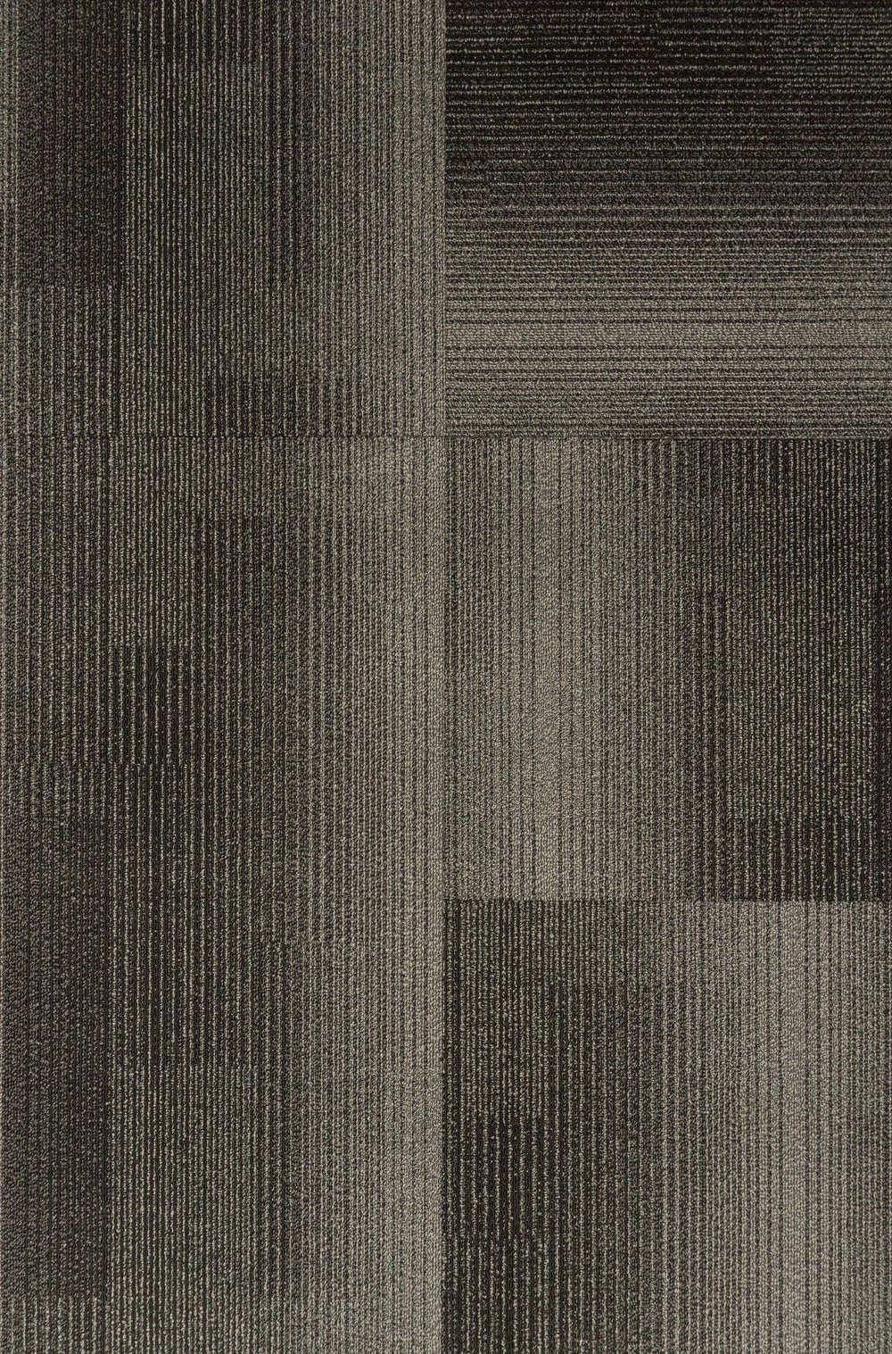 TAS Flooring Development Collection: Carbon 18 oz Polypropylene 19.7" x 19.7" Commercial Carpet Tile