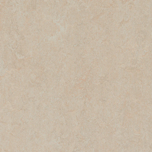 Marmoleum-- Fresco Silver Birch