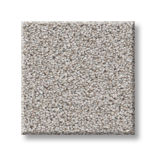 Solution dyed polyester cut pile carpet, on sale at Portland Flooring and Carpet