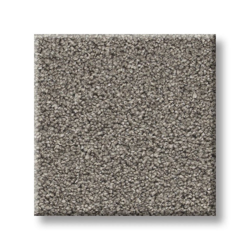 Solution dyed polyester cut pile carpet, on sale at Portland Flooring and Carpet