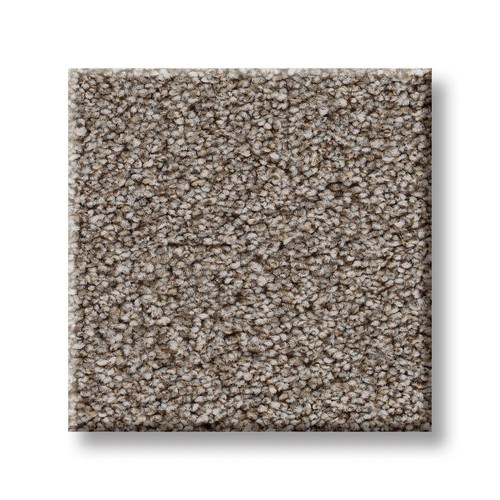 Solution dyed polyester cut pile carpet, on sale at Portland Flooring and Carpet