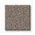Solution dyed polyester cut pile carpet, on sale at Portland Flooring and Carpet