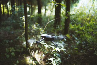 Seeing the Invisible: Leveraging the Mavic 3 Multispectral Payload for UK Precision Agronomy