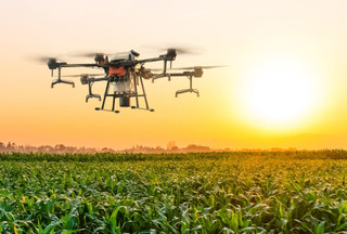 Deploying DJI Enterprise Hardware for UK Agricultural and Environmental Management