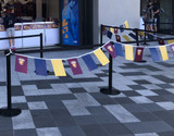 Brisbane Lions Display Bunting (10m length)