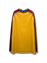 Lions Youth Mask & Cape