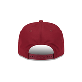 Lions Split Script Maroon