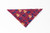 Pet Bandana