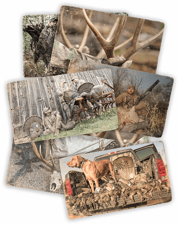 - in this case, a reed assembly. The result is truly lifelike sounds that callers can adjust in pitch, volume and inflection. Other call designers have tried to recreate this structure, but Flextone was the original and remains the best!