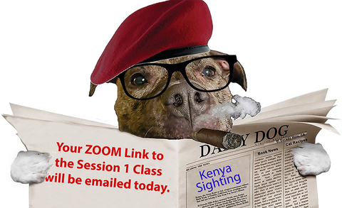 Write NOW! Session 1 Zoom Link Emailed . . .