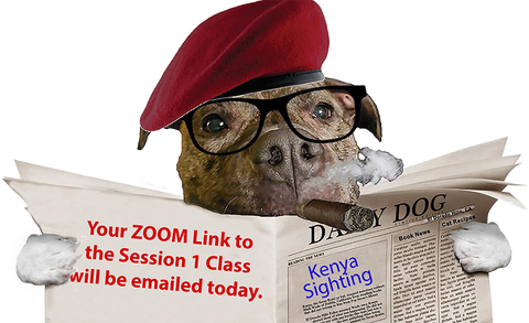 Write NOW! Session 1 Zoom Link Emailed . . .