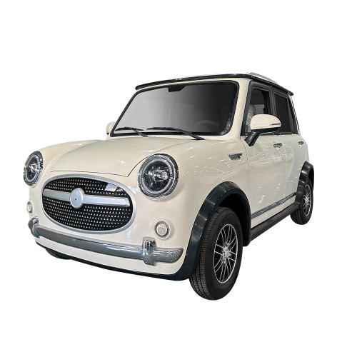 Small Electric 60v 100A  New Energy Vehicles Pure Mini Ev Long Range 200km New Cheap Cars