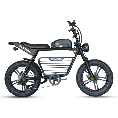 Dynalion 48V 750W 1000W Velo Electrique Retro Dirt Road E Bike Fat Bike Electric Dynalion Ready to Ship Stock Ebike