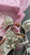 2026 New Bikini With Beads Swimsuit Women Sexy Swimwear Female Bandeau Biquini Bathingsuit Brazilian Swim Suits Beachwear