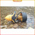 500W Electric Underwater Scooter Dual Speeds Scuba Sea Scooter Handheld Water Propeller for Diving Pool